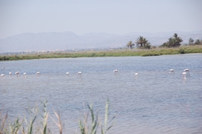 Les Salines de Santa Pola