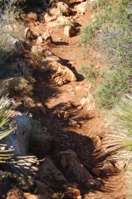 2 holprige Wege DSC_0419.JPG (273.36 KiB) 3468 mal betrachtet Steiniger Trampelpfad