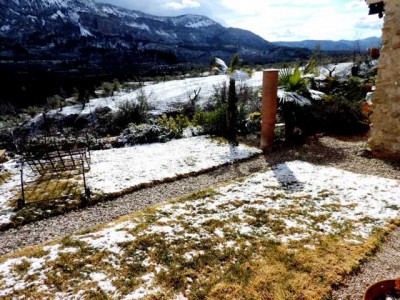 Rasen im Winter:<br />Hier habe ich nicht den Rasen fotografiert, sondern den seltenen Schnee, der nur für ein paar Stündchen liegen blieb