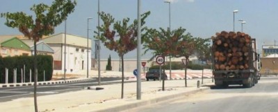 Holzhandel.JPG (37.23 KiB) 48453 mal betrachtet Fertig zum Abtransport: Baumstämme