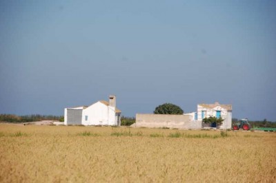 7 typisches Bauernhaus.JPG (83.29 KiB) 10595 mal betrachtet Typisches Bauernhaus