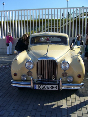 P1050074.JPG