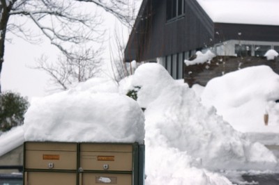 schnee am 21. dez 11 1.jpeg (65.01 KiB) 3871 mal betrachtet Schnee am 22.12.2011 in FL
