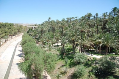 Rio Vinolopó und Parque Municipal