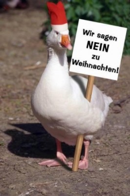 gans_688.jpg (35.19 KiB) 3781 mal betrachtet Neue Protestbewegung