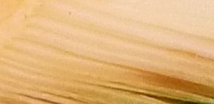 was ist es?