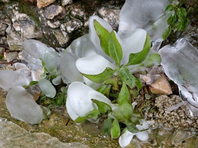 P1000087.JPG