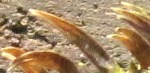 Rätsel-1.jpg