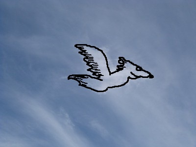 Pelikan?