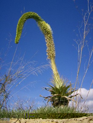 Februar 200709.JPG