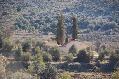 Tollos kleiner, inmitten von Olivenhainen liegender Friedhof