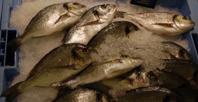 Wie heißt der Fisch auf Spanisch??????