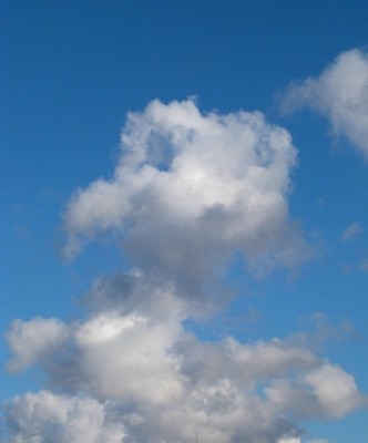 P1000232.JPG