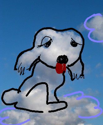 im Hundehimmel