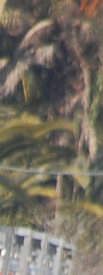 Und nun ganz nach unten scrollen :-))