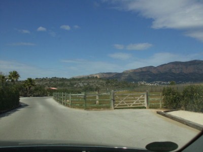 caballo2.jpg