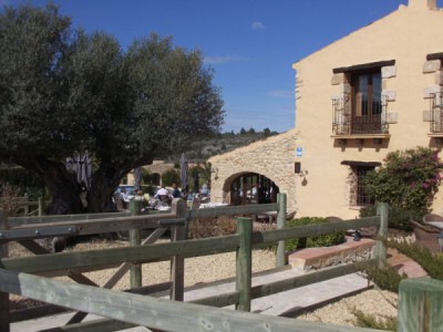 caballo3.jpg