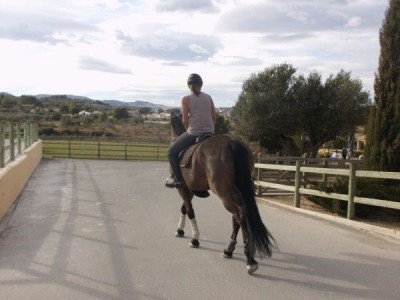 caballo-e.jpg