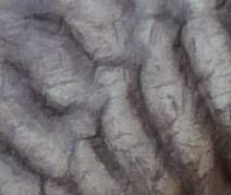 was ist es?