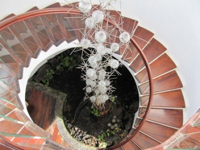 Treppe - Jardín de Cactus Lanzarote.jpg