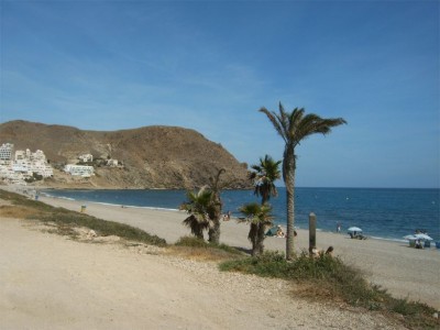 ALM10279_07092008.jpg