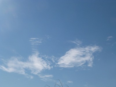 P1010155.JPG