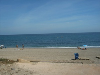 ALM10280_07092008.jpg