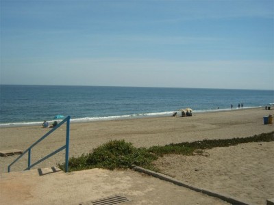 ALM10281_07092008.jpg