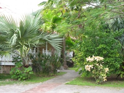 Tropenparadies
