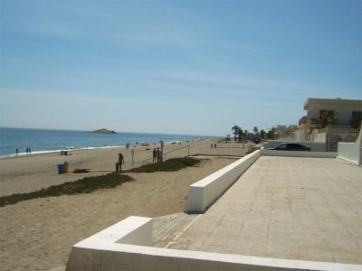ALM10282_07092008.jpg