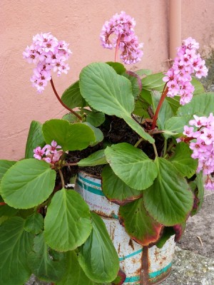 P1020122.JPG