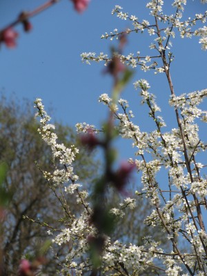 IMG_0360.JPG