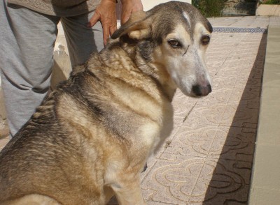 Panchita1.JPG