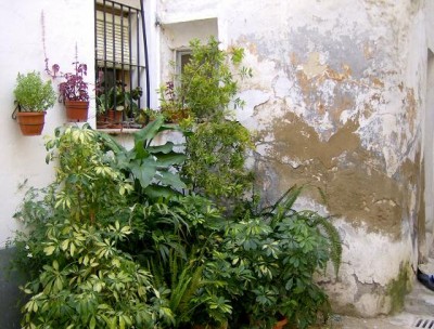 HPIM4879.JPG