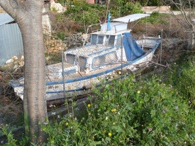 P1010011 (3).JPG
