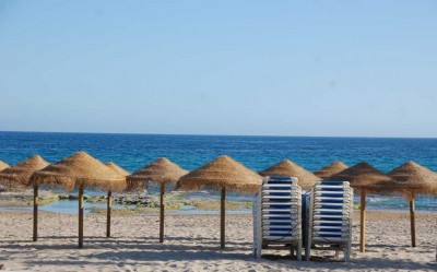 In der warmen Jahreszeit schießen sie aus dem Boden los hongos del mediterráneo - die Mittelmeerpilze.JPG