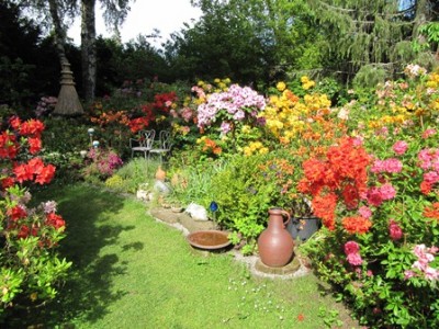 Rhododendron-Garten.jpg