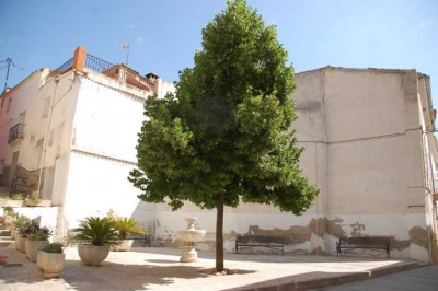 Plaza mit Lindenbaum