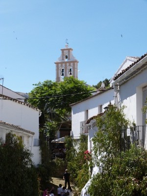 P1050073.JPG