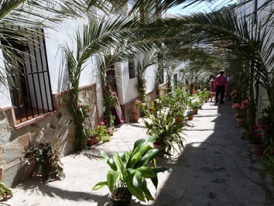 P1050056.JPG