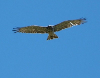 P1050003.JPG