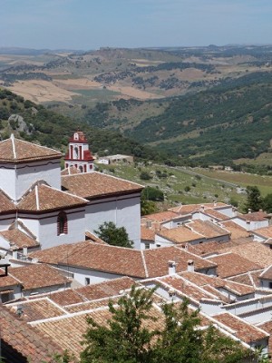 P1050161.JPG