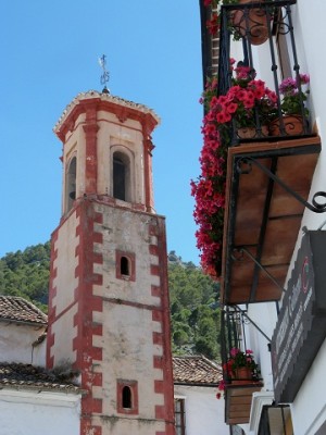 P1050181.JPG