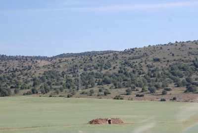 Hier eine grüne Landschaft,