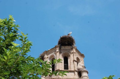 Sröche DSC_0750.JPG (109.99 KiB) 8124 mal betrachtet Ausblick auf ein Storchennest beim Kaffeetrinken auf einer Plaza im Nirgendwo