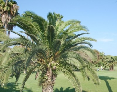 Club de Golf Jávea