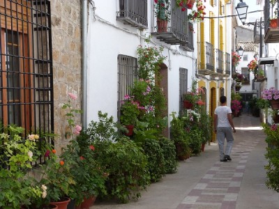 P1060241.JPG