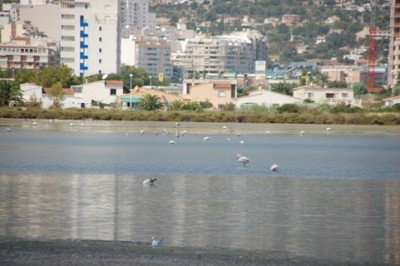 Las Salinas de Calpe (01.09.2009)