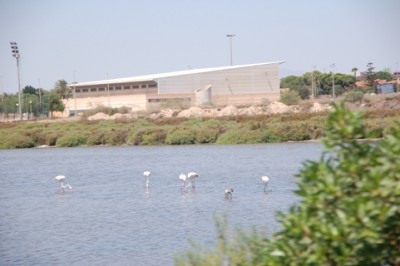 Las Salinas de Santa Pola (15.08.2009)