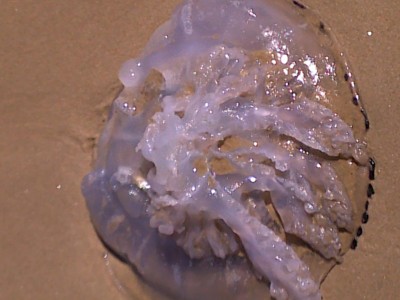 12092010551.jpg